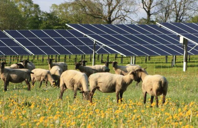 CAV Sonne und Wind I - Spezialfonds für Photovoltaik und Windkraft