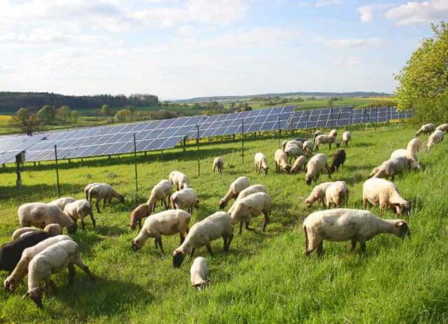 Erneuerbare Energien im Strommix: Deutschland Solar