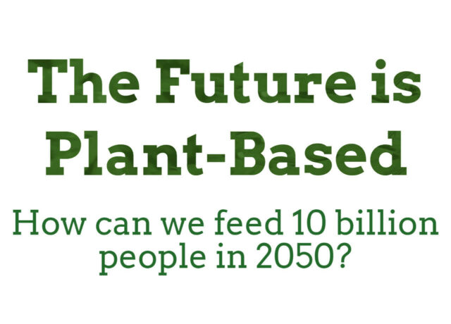 Katjes Greenfood Investment - Future is Plant-Based