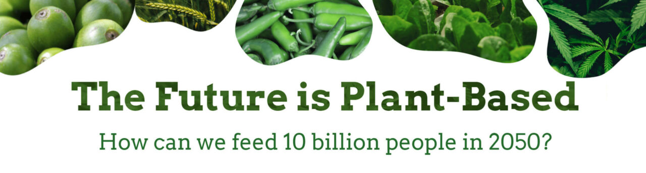 Katjes Greenfood Investment - Future is Plant-Based