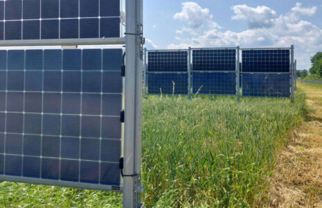 Next2Sun Agrar-Solarpark - Agri-Photovoltaik