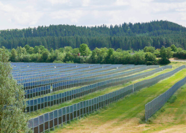 Oekogeno aus Freiburg - Agrar-Photovoltaik