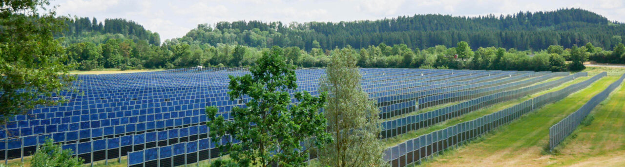 Oekogeno aus Freiburg - Agrar-Photovoltaik
