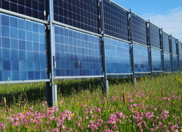 Solverde Wachstumsfinanzierung Agrar-Photovoltaik