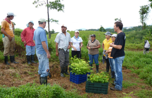 Bauminvest 3 - Waldfonds betreibt Baumschule und Plantagen in Costa Rica
