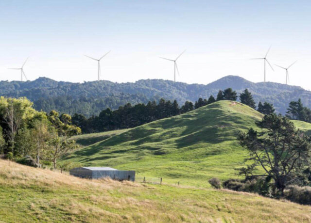 Wind Neuseeland - Direkt-Investment Windkraft