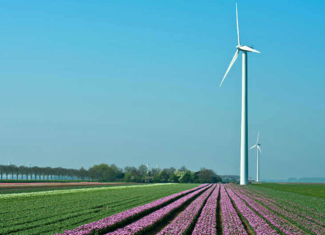 Windpark-Beteiligung Frankreich XVII