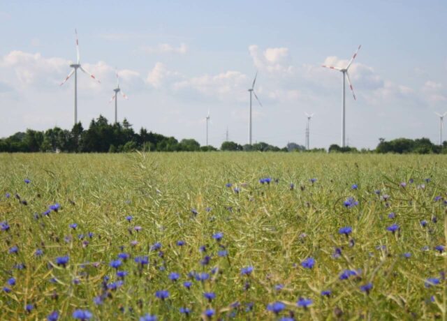 Windpark - moderne Windkraftanlagen für die Energiewende